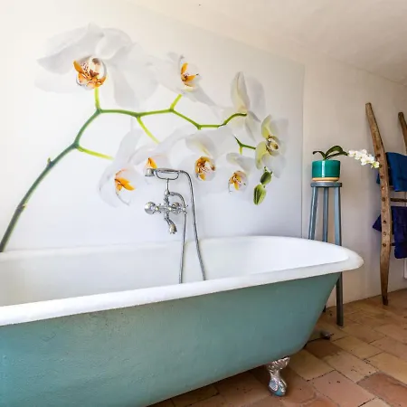Holiday Cascina Convista By Interhome Grazzano Badoglio