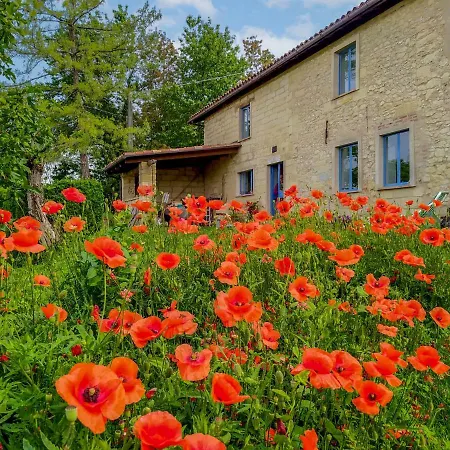 Holiday Cascina Convista By Interhome Holiday home *
