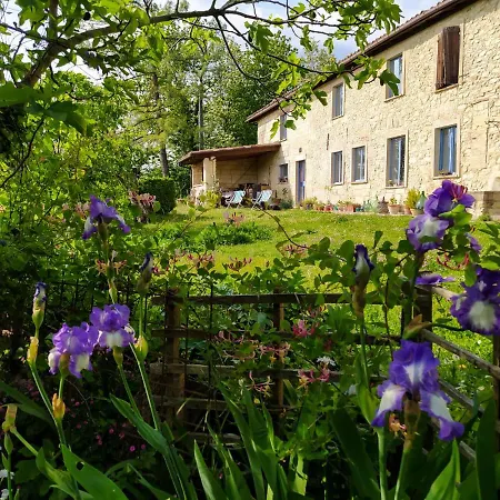 Holiday Cascina Convista By Interhome Holiday home *